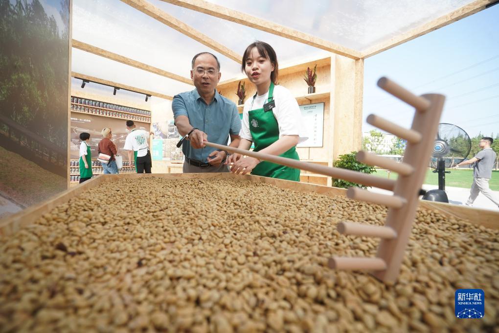 菠菜大全最新